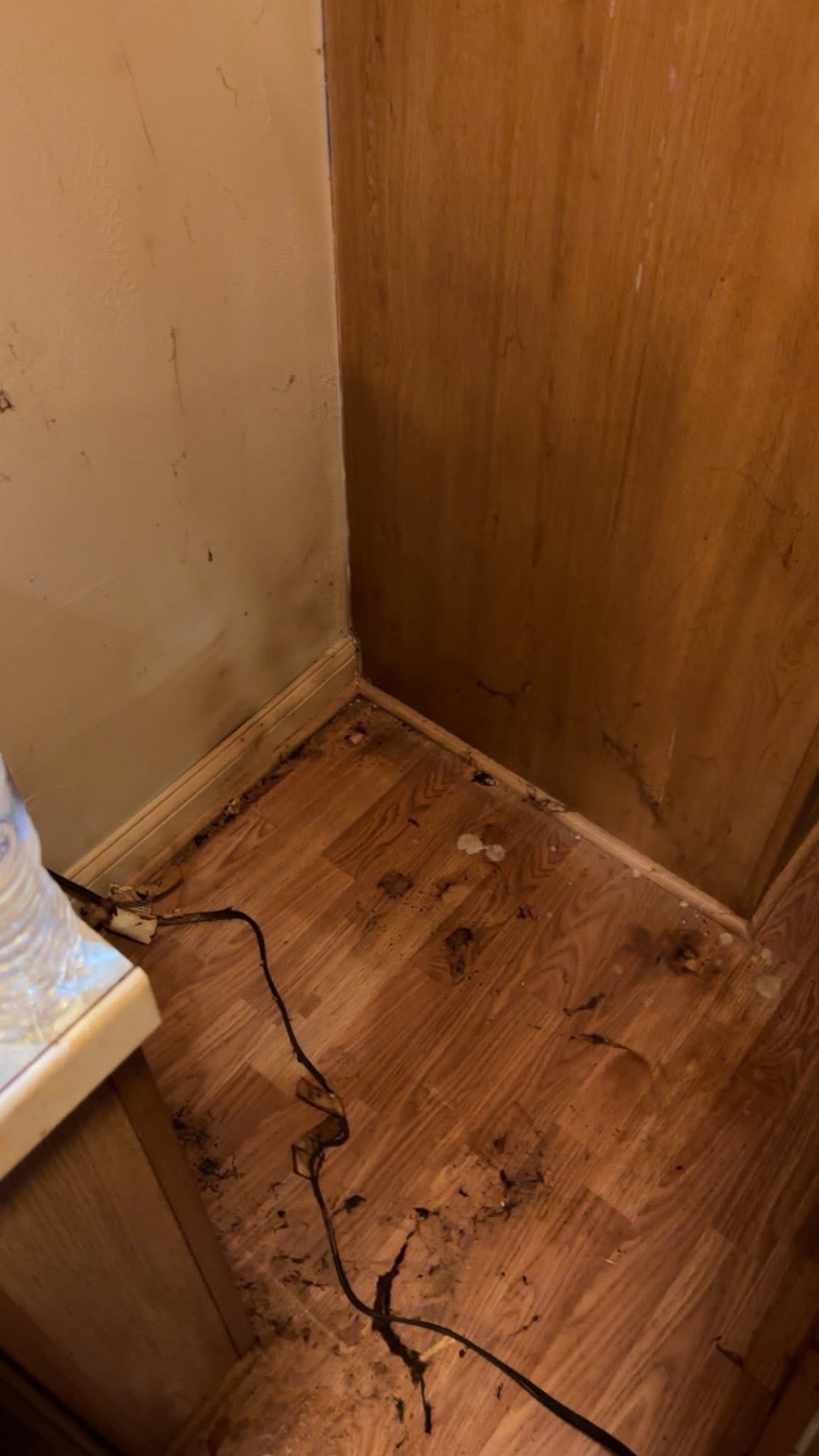 Floors & Baseboards before cleaning